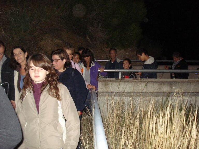 Pont damunt la carretera 3