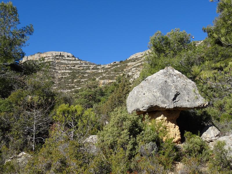 roca corbatera