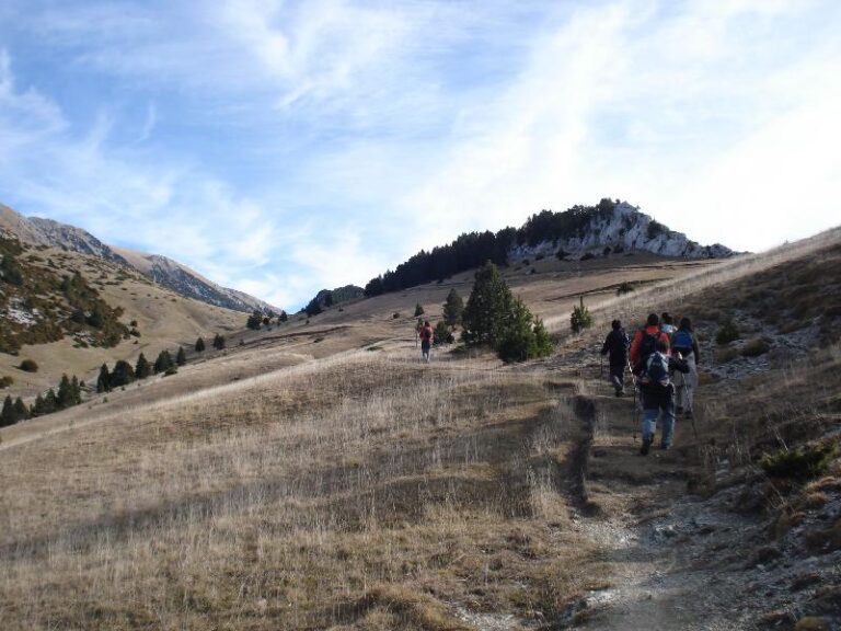 Prop el Coll d les Bassotes