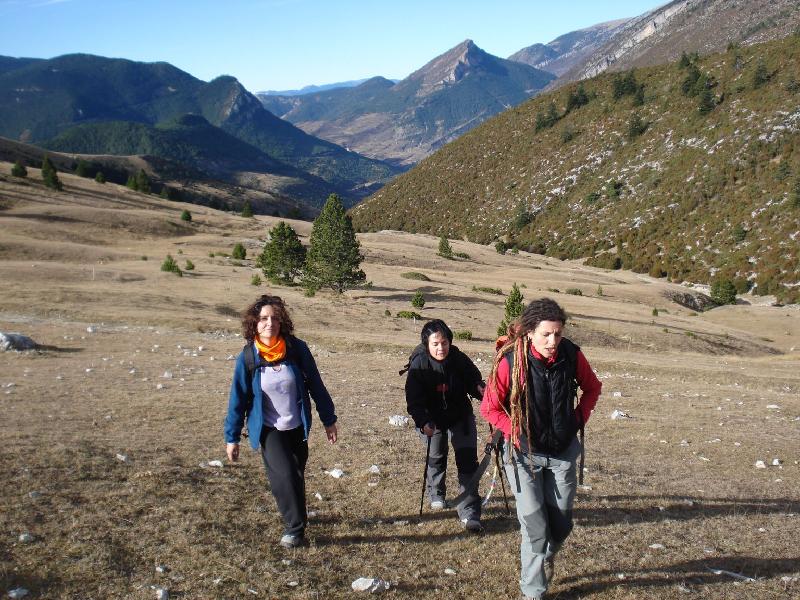 Prop el Coll de les Bassotes