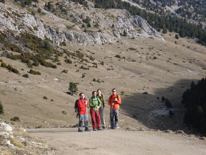 Prop el Coll de les Bassotes