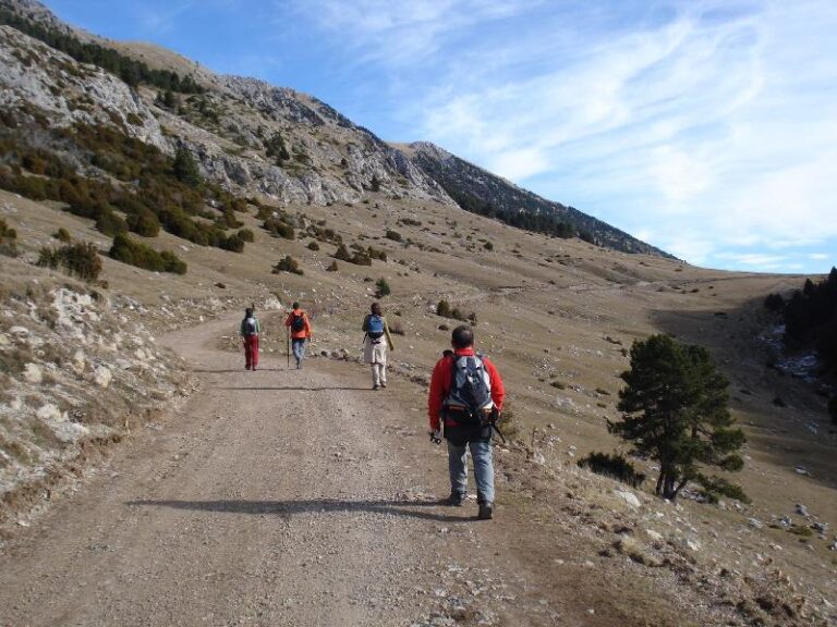 Prop el Coll del Torn