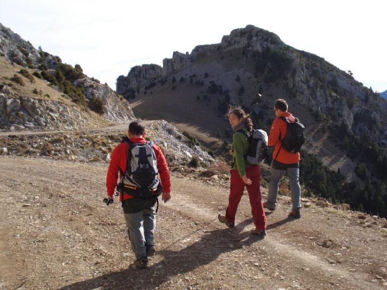 Prop del Coll del Torn