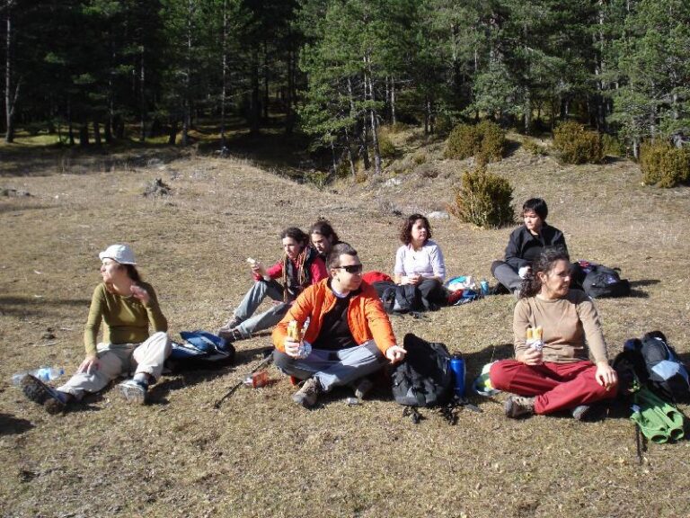 Apat prop el Coll de la Bauma