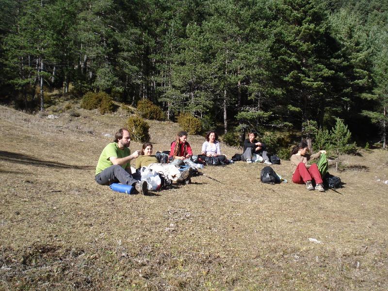 Apat prop el Coll de la Bauma