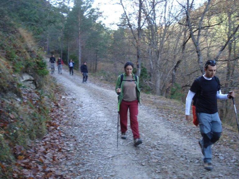 Prop el Coll de la Bena
