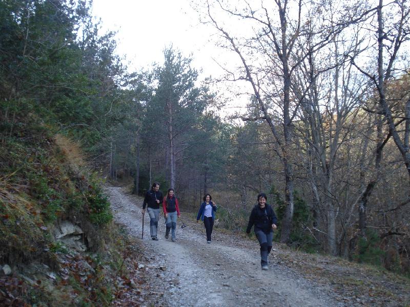 Prop el Coll de la Bena