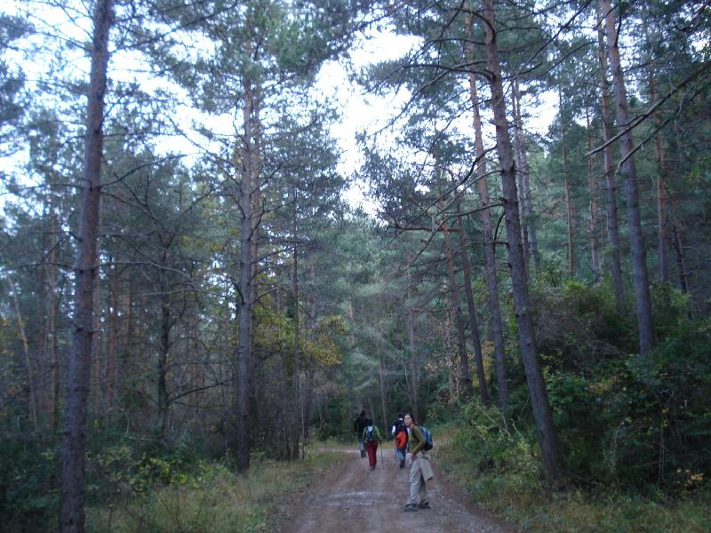 Prop el Coll de la Bena
