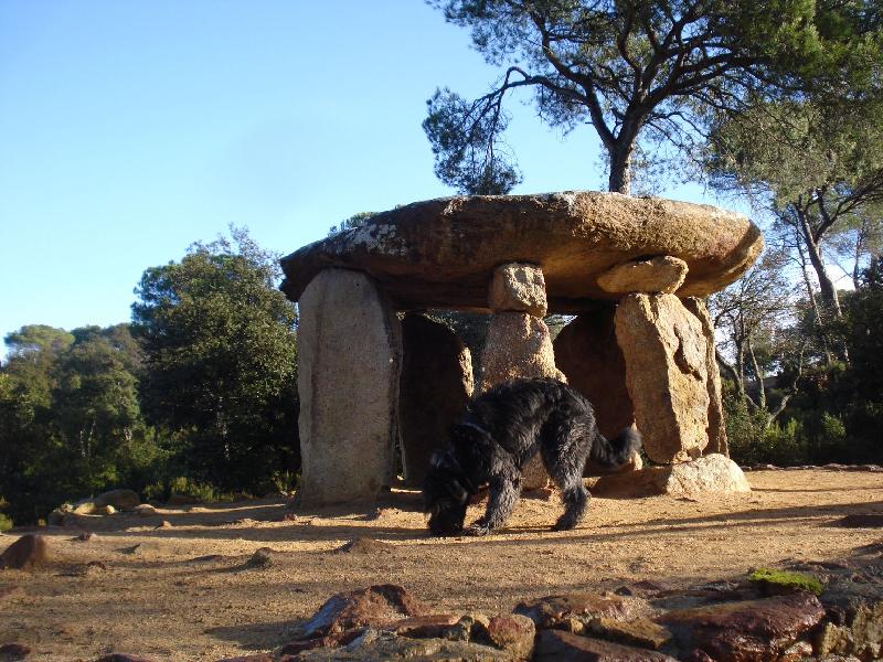 Dolmen de Pedra Gentil