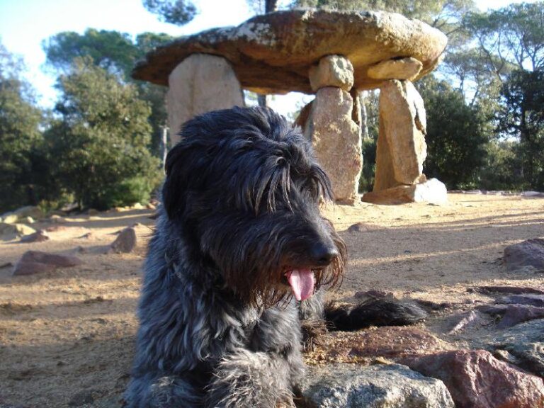 La Morla davant el Dolmen