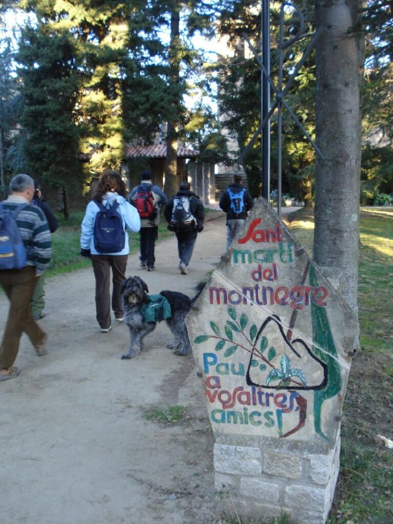 el bosc de sant marti de montnegre