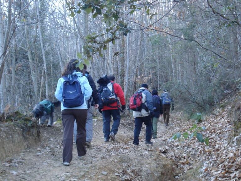 de cami al turo gros