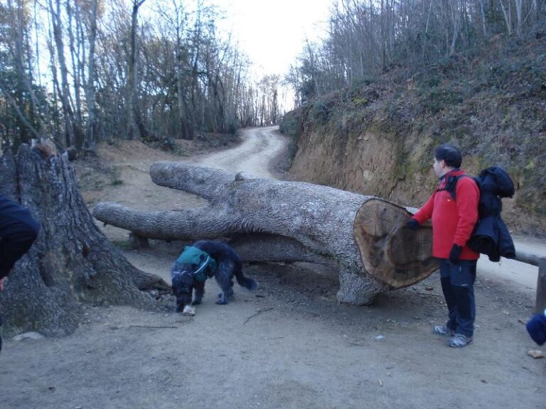 arribada a santa maria de montnegre