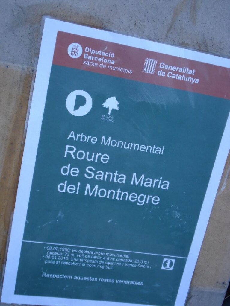 resenya del roure de santa maria