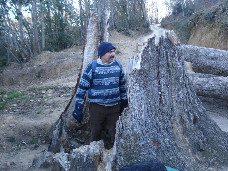 roure de santa maria 2