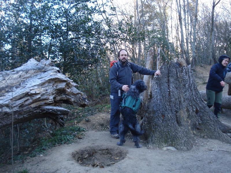 roure de santa maria 3