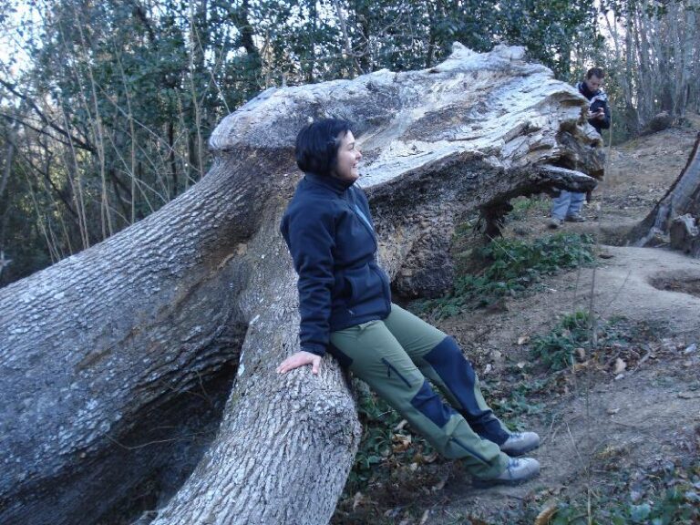 roure de santa maria 5