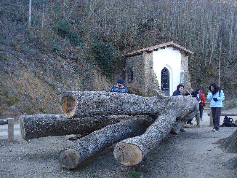 roure i ermita de santa maria
