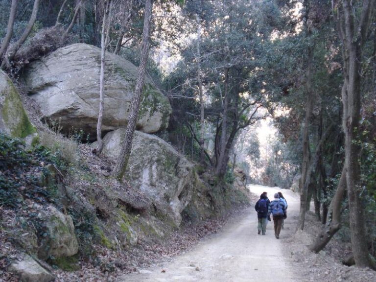 de cami a sant marti