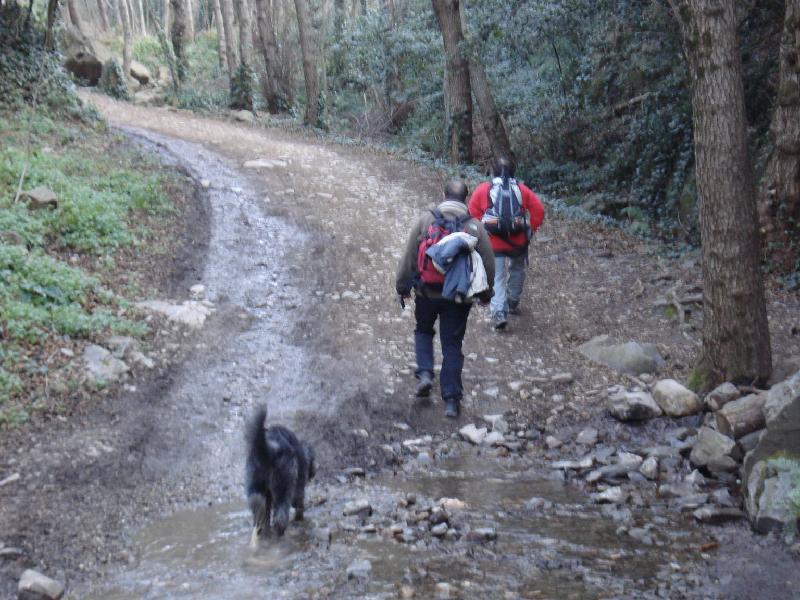 Ascendint pel Torrent de la Baga de Cuc