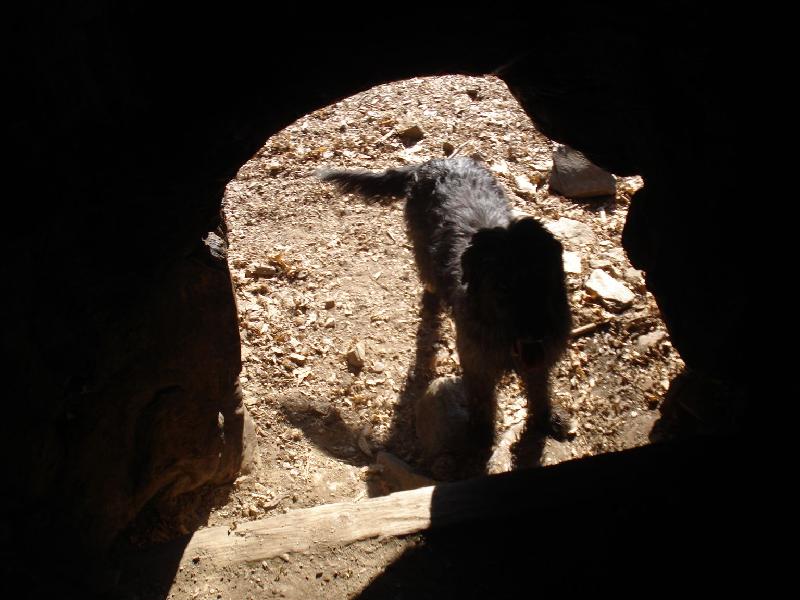 La Morla no te clar entrar