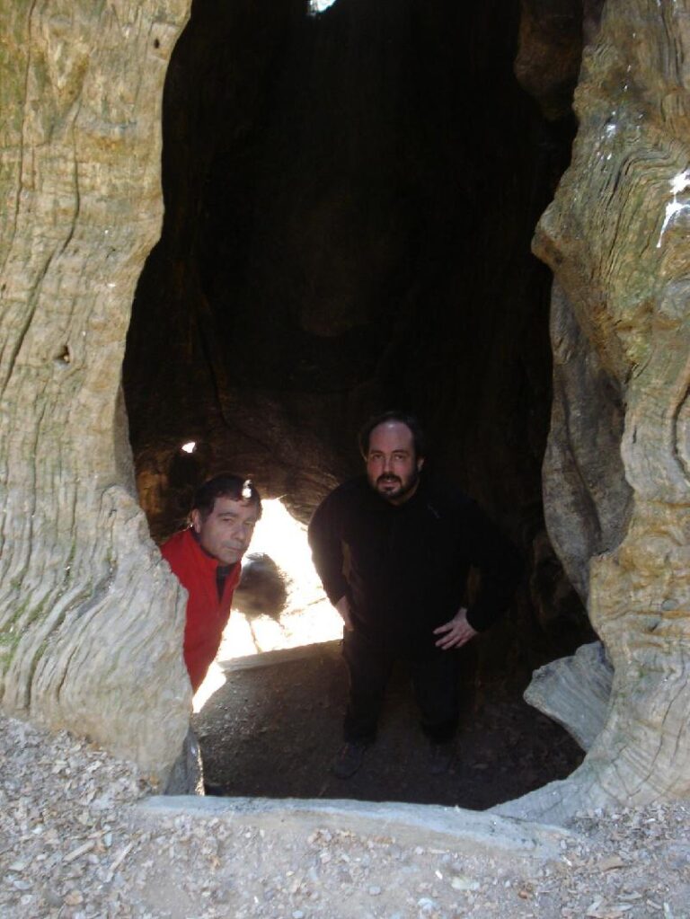 Els Jordis dins del Castanyer