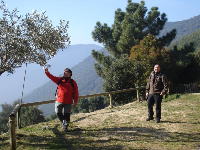 Pels voltants de la Casa del Bosc