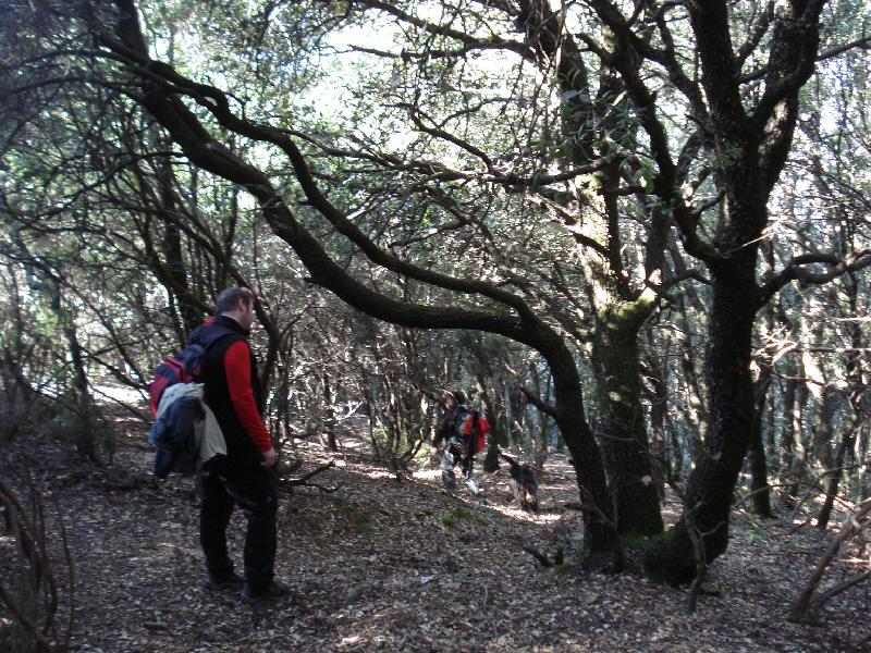 De cami a Vallfornes