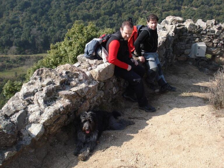 ... tots descansant al Mirador de Vallfornes