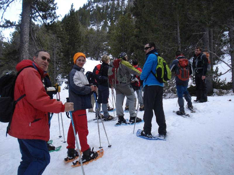 Activitat de raquetes