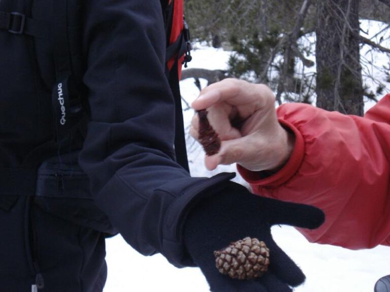 Assistint a una classe de natura