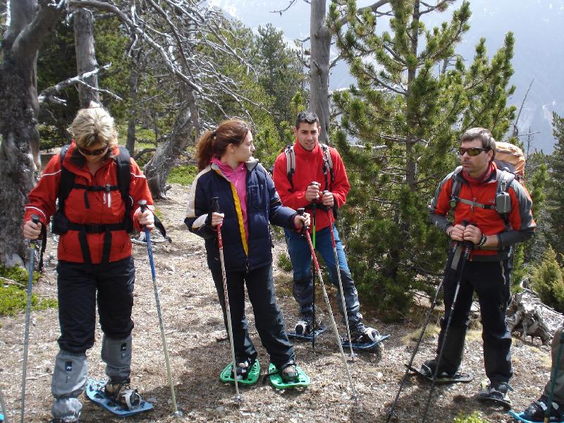 Parada durant la baixada