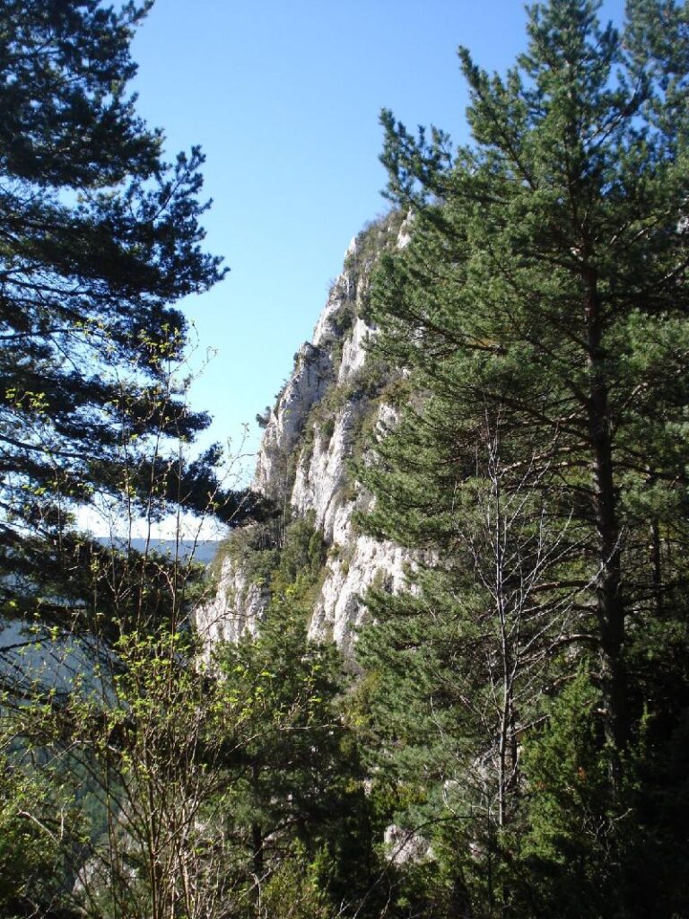 Observant la paret a pujar des del coll