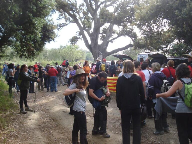 Fent cua per esmorzar