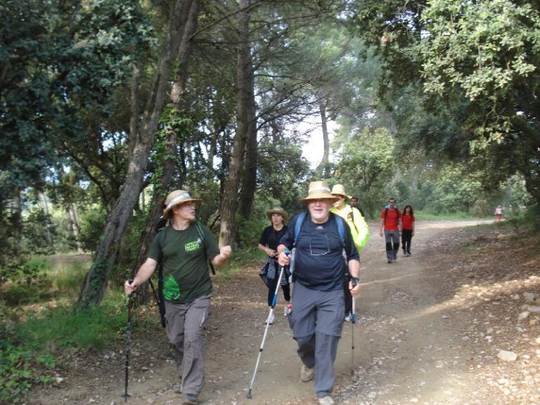 Arribada de caminants