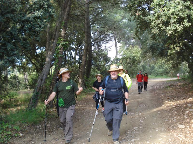 Arribada de caminants