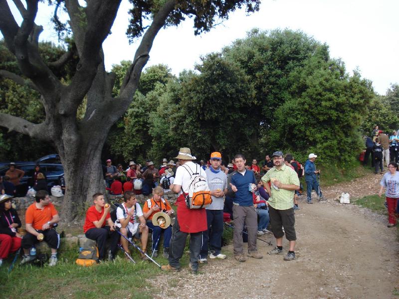 Esmorzant sota la gran alzina