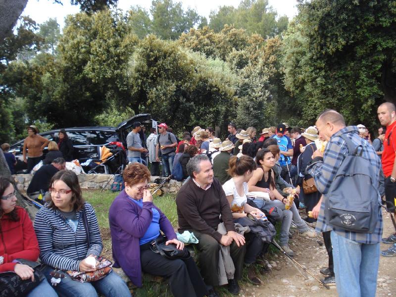 Esmorzant sota la gran alzina