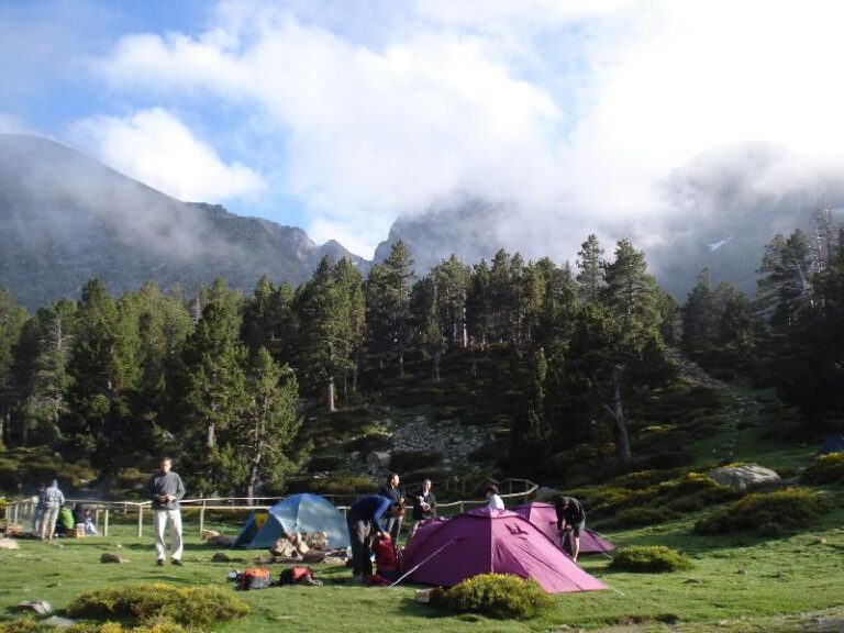 El fred ja es fa present