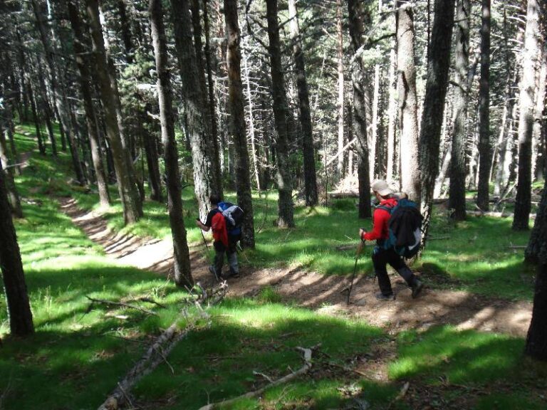 Baixant cap a Arinsal