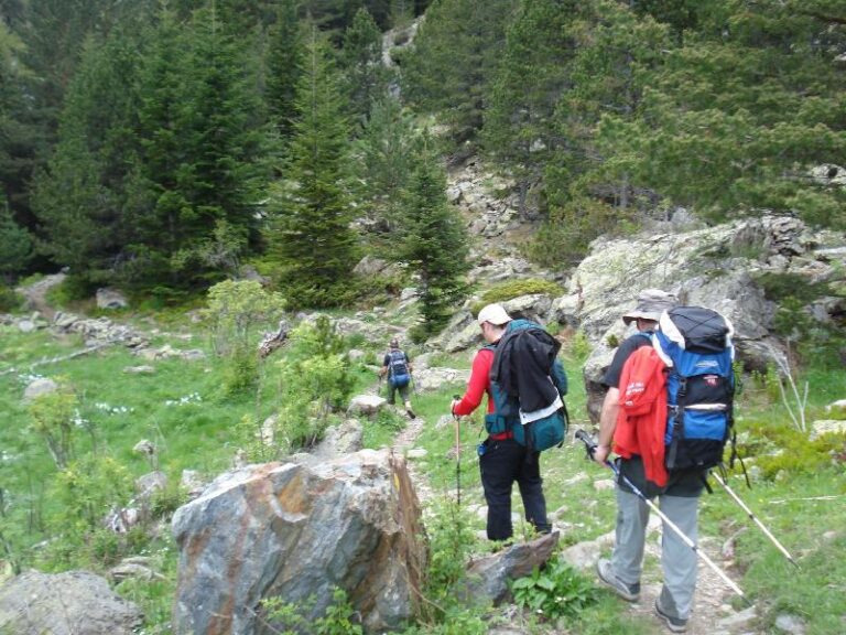 De cami al Coma Pedrosa