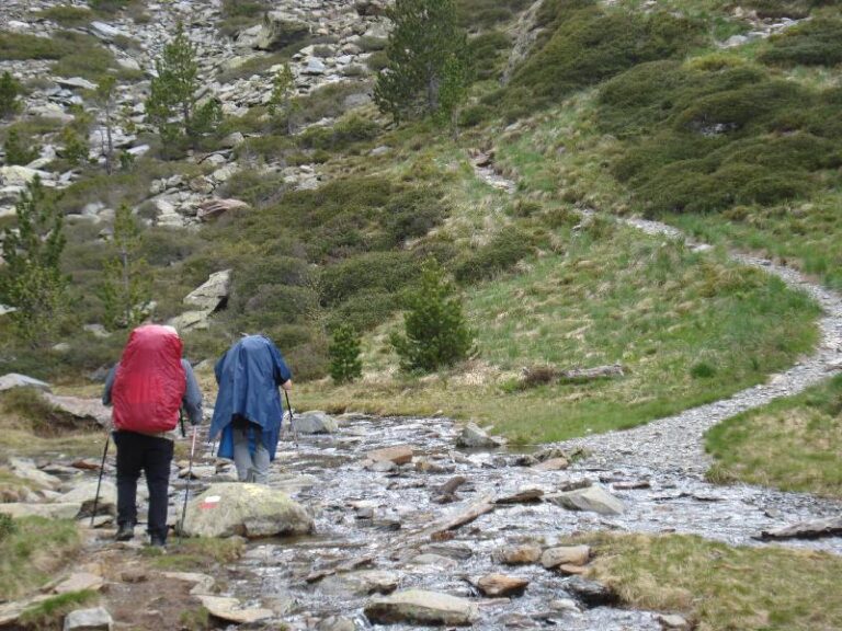 La pluja fa acte de presencia