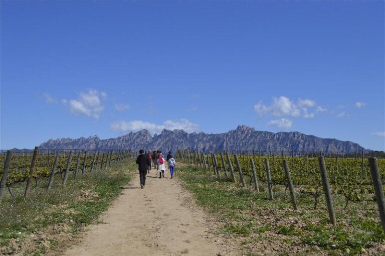 disCAPACITATS A LA MUNTANYA