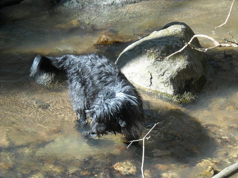 La Morla una companya fidel