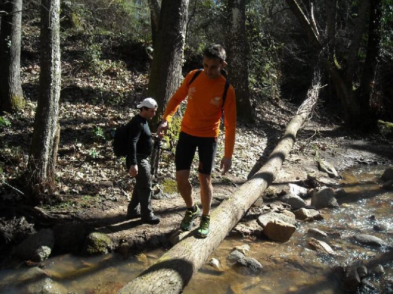 Cami del Castell de Montsoriu