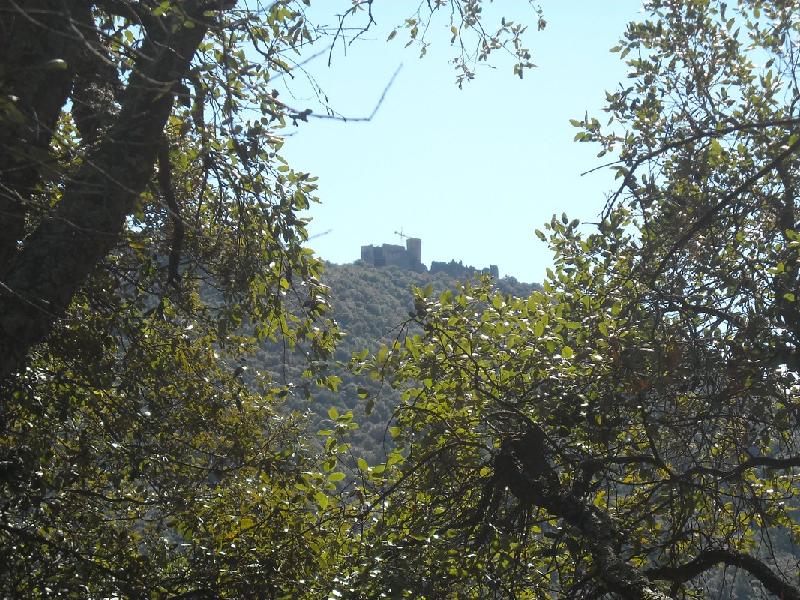 Cami del Castell de Montsoriu