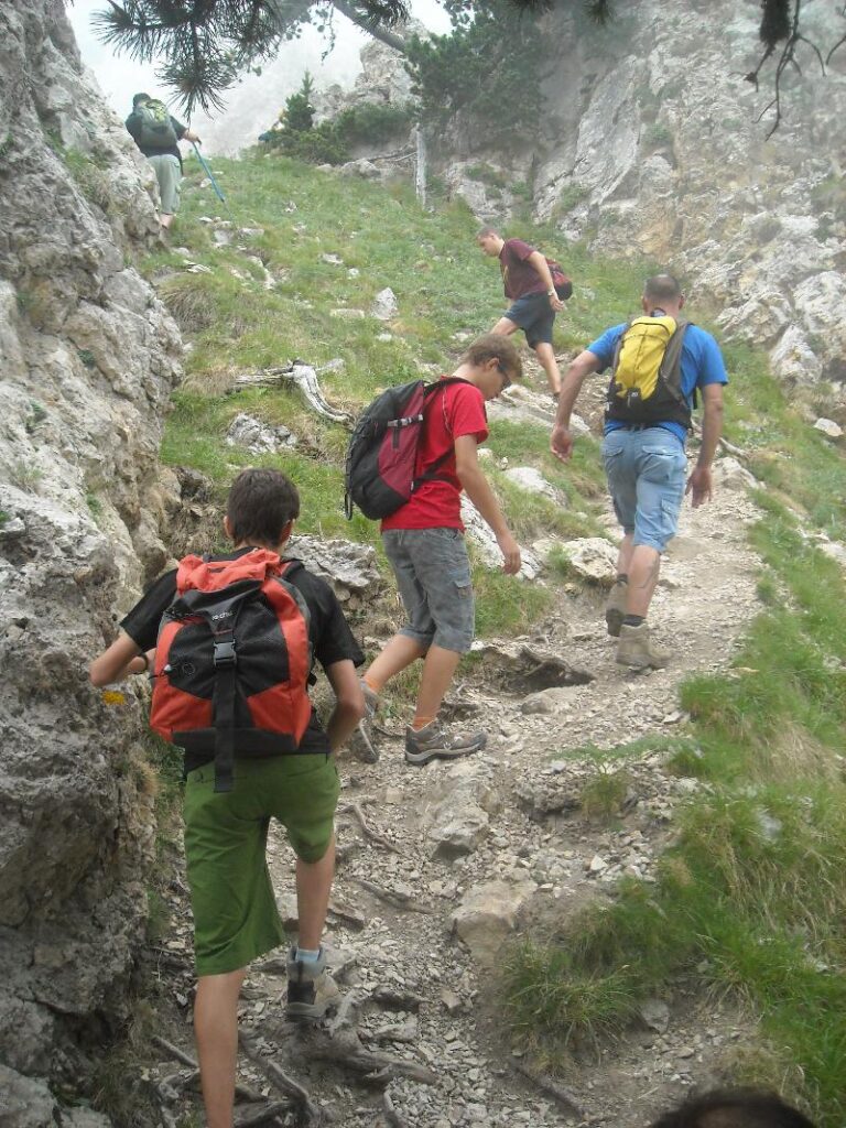 Arribant al coll del verdet