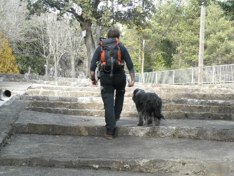 companys inseparables arribant a la Nou