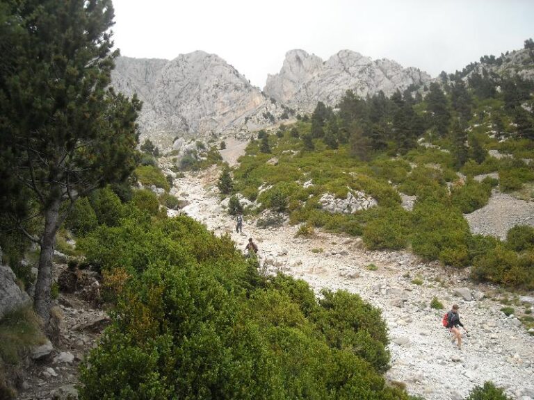 baixant per la tartera