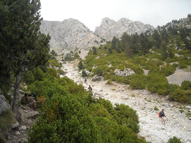 baixant per la tartera